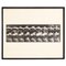 Eadweard Muybridge, Black and White Women in Motion Study, 1982, Photograph, Framed 1