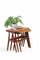 Nesting Table in Teak by Johannes Andersen for CFC Silkeborg, Denmark, 1960s, Set of 3, Image 15