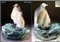 Ceramic Bowl with Pinguins by Ditmar Urbach 4
