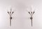 Arum Wall Lights from Maison Lunel, 1950s, Set of 2, Image 1