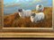 Artista británico, Tres ovejas en las Tierras Altas de Escocia, Pintura al óleo, Enmarcado, Imagen 10