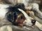 Artista británico, victoriano Jack Russell Terrier perros persiguiendo ratas en el granero, de finales del siglo XIX, pintura al óleo, enmarcado, Imagen 8