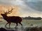 Macho de ciervo salvaje vadeando Loch Lomond, 1880, Pintura al óleo, Imagen 2