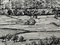Alfred Wainwright, Landscape Low Fell Lake District, 20th Century, Ink Drawing 5