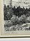 Alfred Wainwright, Landscape Low Fell Lake District, 20th Century, Ink Drawing 10