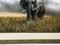 Anhänger von David Shepherd, Große britische Malerei Grey Bull Elephant About to Charge, Krüger Nationalpark, 1990er, Mixed Media, gerahmt 10