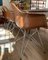 Shell Chairs in Leather, Set of 4 1
