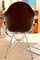 Shell Chairs in Leather, Set of 4 4