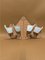 Wandlampen von Arlus, 1950, 2er Set 2