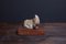 German Donkey Figurine from Hamelner Töpferei Keramik, 1960s, Image 2