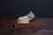 German Donkey Figurine from Hamelner Töpferei Keramik, 1960s, Image 5