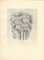 Giorgio Morandi, Zinnias, 1930-1957, Lithograph, Image 2