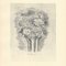 Giorgio Morandi, Zinnias, 1930-1957, Lithograph, Image 1