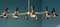 Large Vintage Italian 24-Light Chandelier, Imagen 8