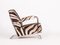 Zebrafell Tubular Steel Chair from Hynek Gottwald, 1930s, Image 2