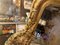 Antique French Gold Gilt Mirror with Bevelled Plate, 1850 6