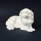 Statuetta Chin Dog giapponese di Erich Hösel per Meissen, Germania, Immagine 2
