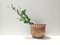 Round Embossed Copper Cachepot or Vase in the style of Egidio Casagrande, Italy, 1950s 6