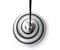 Zebra or Swirl Pendant Lamp 3