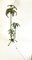 Handgefertigte Stehlampe aus Metall mit Palmen, Frankreich, 1920er 9