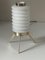 Tripod Lamp by Angelo Lelli, 1960s 5