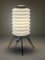 Tripod Lamp by Angelo Lelli, 1960s 3