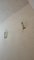 Grandes Appliques Murales par Cristal Art, 1950s, Set de 2 12
