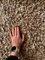 Tapis Scandinave Tufté à la Main en Pur Lin de Kasthall 14