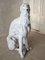 Italienischer Künstler, Skulptur eines Barsoi Hounds, 1970er, Weiß lackierte Terrakotta 12