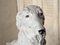 Italienischer Künstler, Skulptur eines Barsoi Hounds, 1970er, Weiß lackierte Terrakotta 6