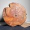 Wooden Log Hibachi, Japan, 1920s 17