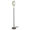 Italian Mod. 2020 Floor Lamp by Max Ingrand for Fontana Arte, 1960 1