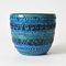 Rimini Blue Flower Pot by Aldo Londi for Bitossi, 1960s, Image 2