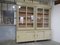 Lacquered Fir Bookcase, 1920s 1