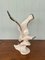 Dekorative Möwe Statue aus Porzellan von Royal Dux, Ehemalige Tschechoslowakei, 1960er 16