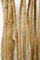 Decorative 3-Panel Room Divider in Wood Branches, Image 3