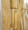 Decorative 3-Panel Room Divider in Wood Branches, Image 11