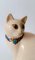 Ceramic Cat from Longwy, 1970s, Image 8