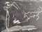 Pablo Picasso, Escenas de Corrida, Litografías originales, 1961, Juego de 3, Imagen 9