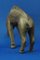 Ceramic Sculpture Depicting a Wild Boar from Bottega Gatti Faenza, Italy, 20th Century, Image 7
