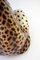 Mid-Century Gepard Skulptur aus Keramik von Giovanni Ronzan, Italien, 1960er 7