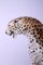 Mid-Century Gepard Skulptur aus Keramik von Giovanni Ronzan, Italien, 1960er 8