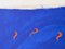 Antoni Tapies, Tapies Antoni, Composición azul, 1974, Litografía, Imagen 7