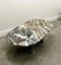 Vintage Oval Cipollino Ondulato Marble Coffee Table, Italy, 1970s 10