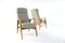Mens Model Duivendrecht Armchair, 1970s 8