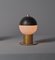 Lampe de Bureau en Laiton avec Dôme en Acier, Italie, 1950s 2