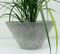 Vintage Stone Cement Planter in Grey from Eternit 4