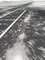Friedrich Kunath, Untitled (FK 347), 2004, Screenprint on Cardboard 2