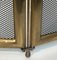 Neoclassical Style Fireguard in Brass and Wire Mesh, Image 9