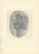 Giorgio Morandi, Flowers in a Striped Vase Inserted Into an Oval, 1932-1957, Lithograph 1